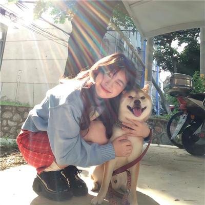 重生退婚妻第二季